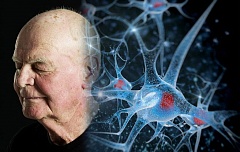 Тест: Насколько быстро стареет ваш мозг?